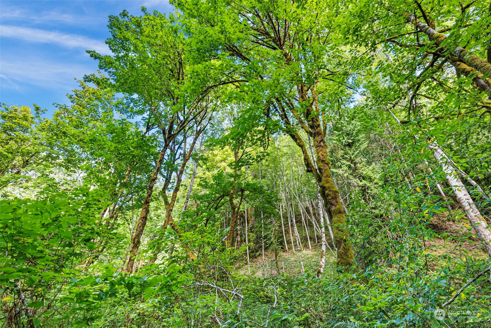 0 Northeast North Shore Road Belfair, WA 98528 - Photo 5 of 17