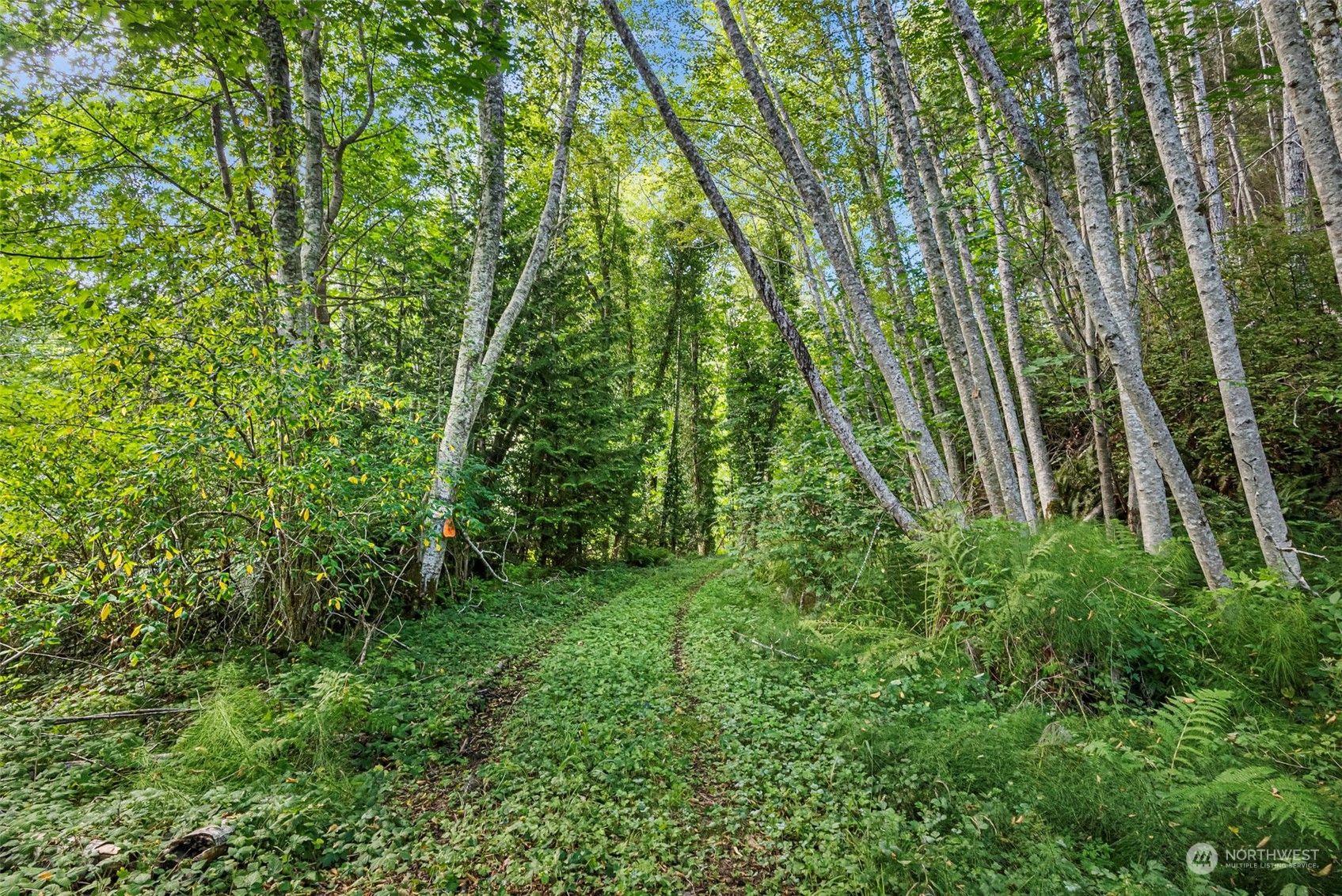 0 Northeast North Shore Road Belfair, WA 98528 - Photo 6 of 17