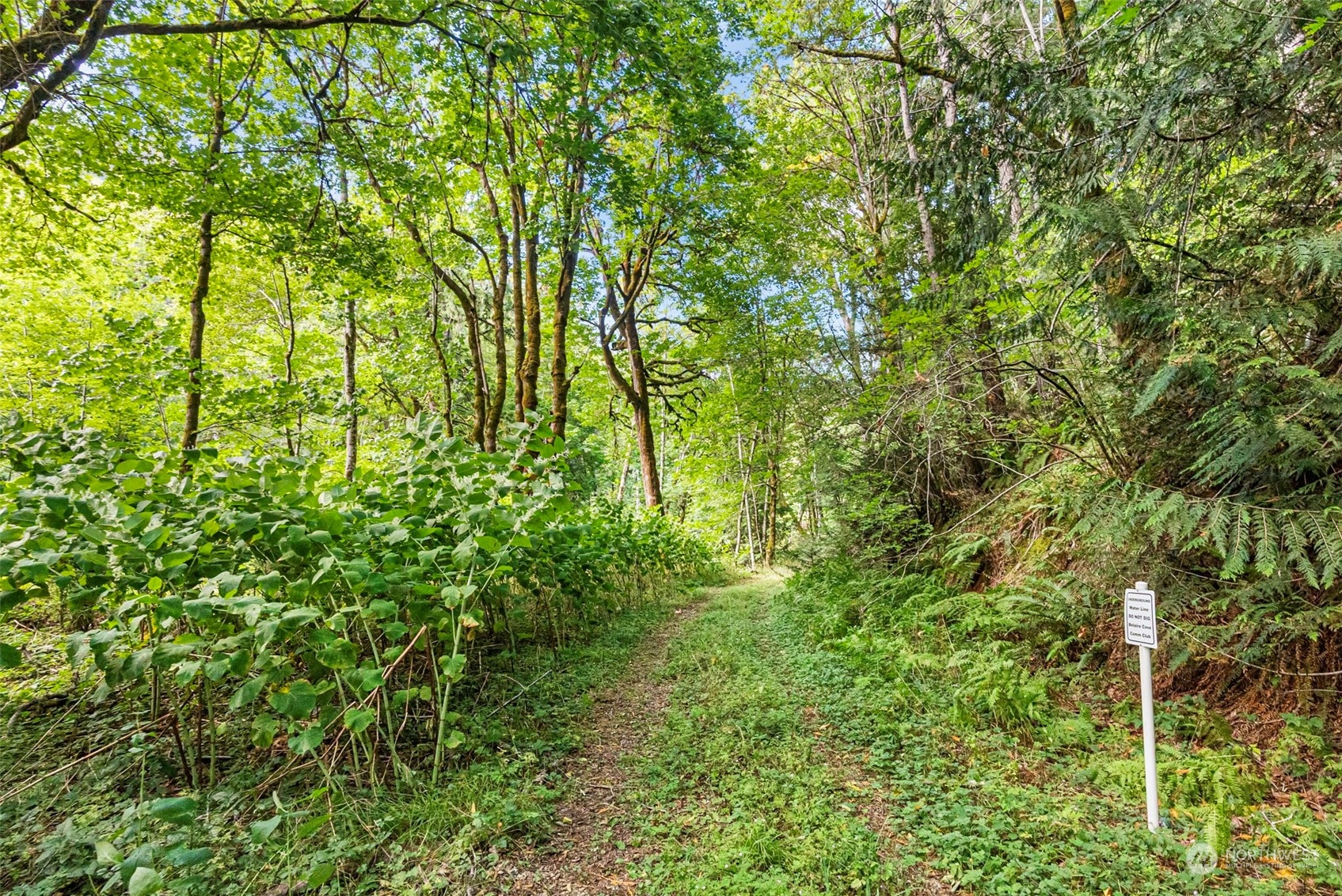 0 Northeast North Shore Road Belfair, WA 98528 - Photo 7 of 17