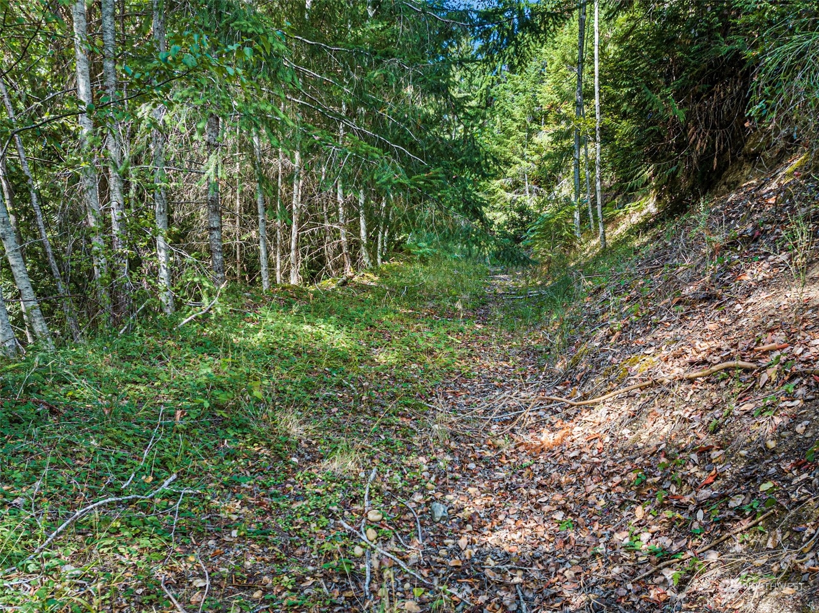 0 Northeast North Shore Road Belfair, WA 98528 - Photo 9 of 17