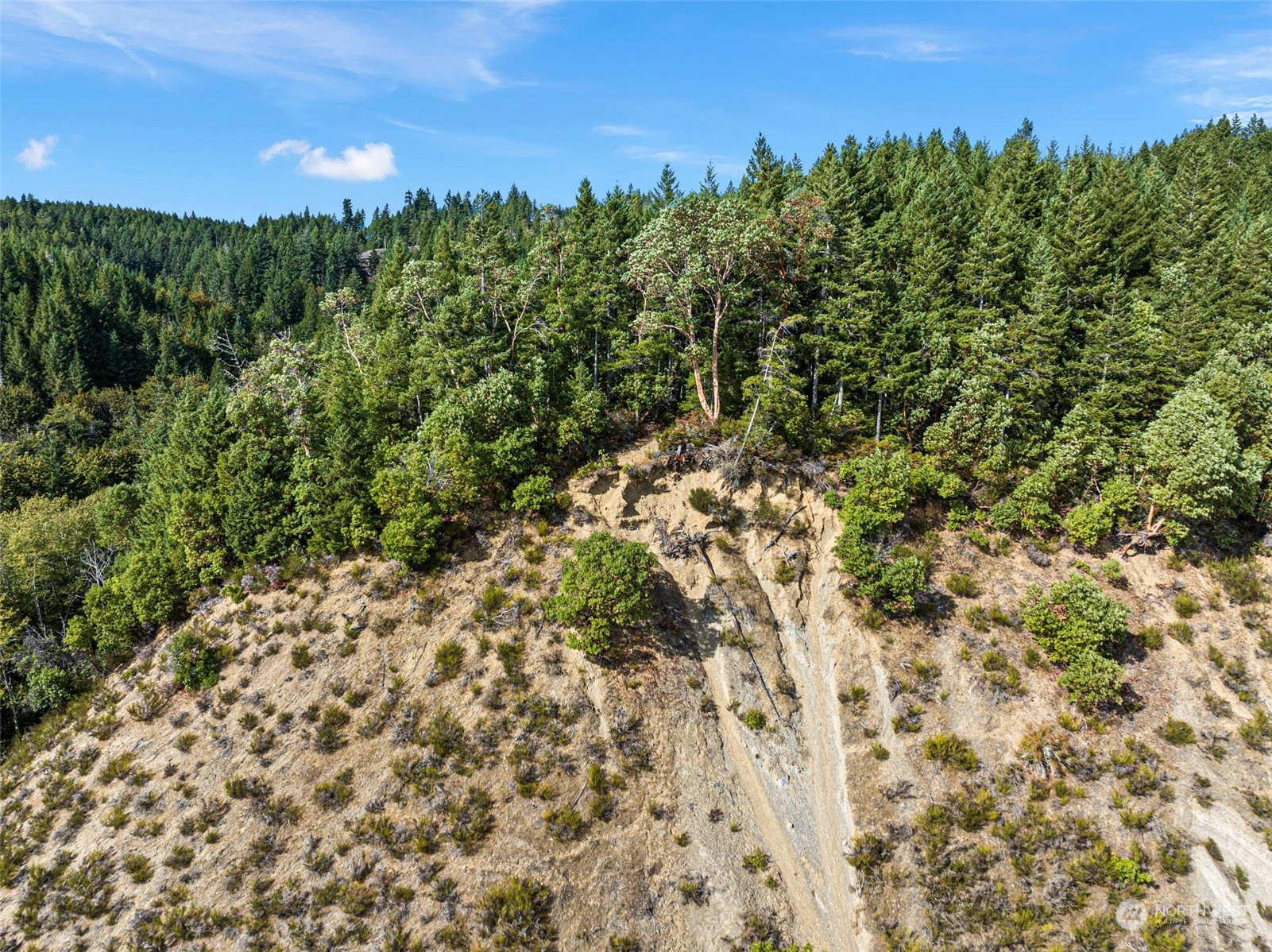 0 Northeast North Shore Road Belfair, WA 98528 - Photo 10 of 17