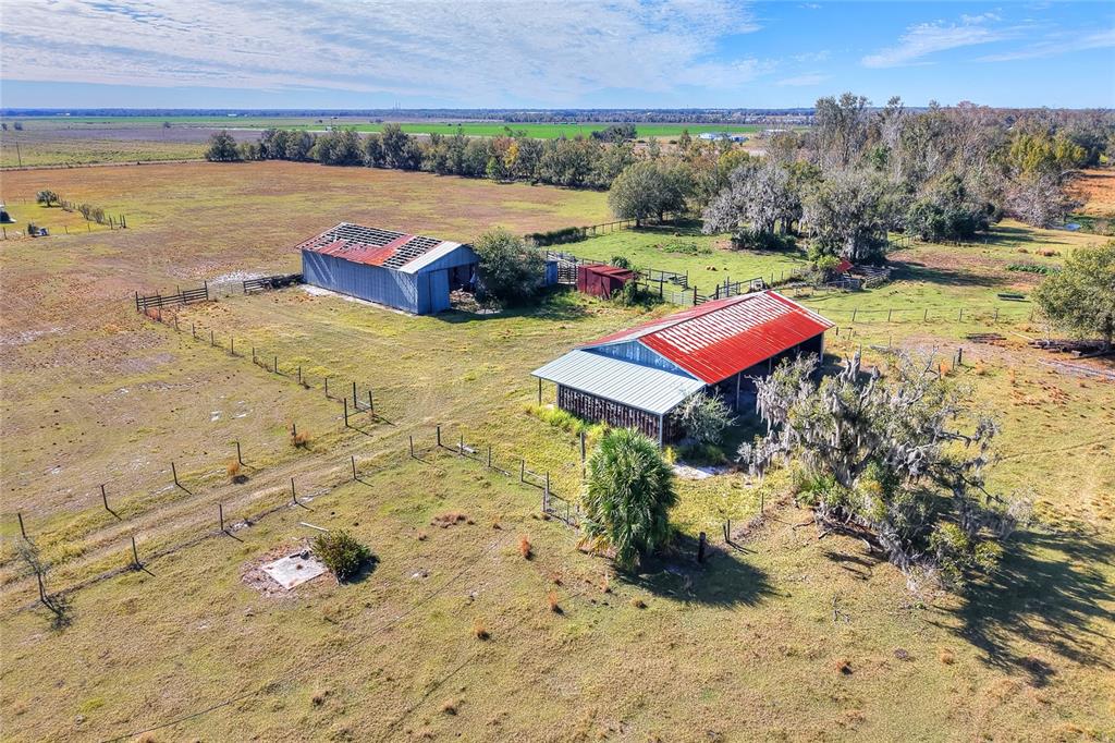 15901 Carlton Lake Road Wimauma, FL 33598 - Photo 4 of 5 a view of a yard with an outdoor space