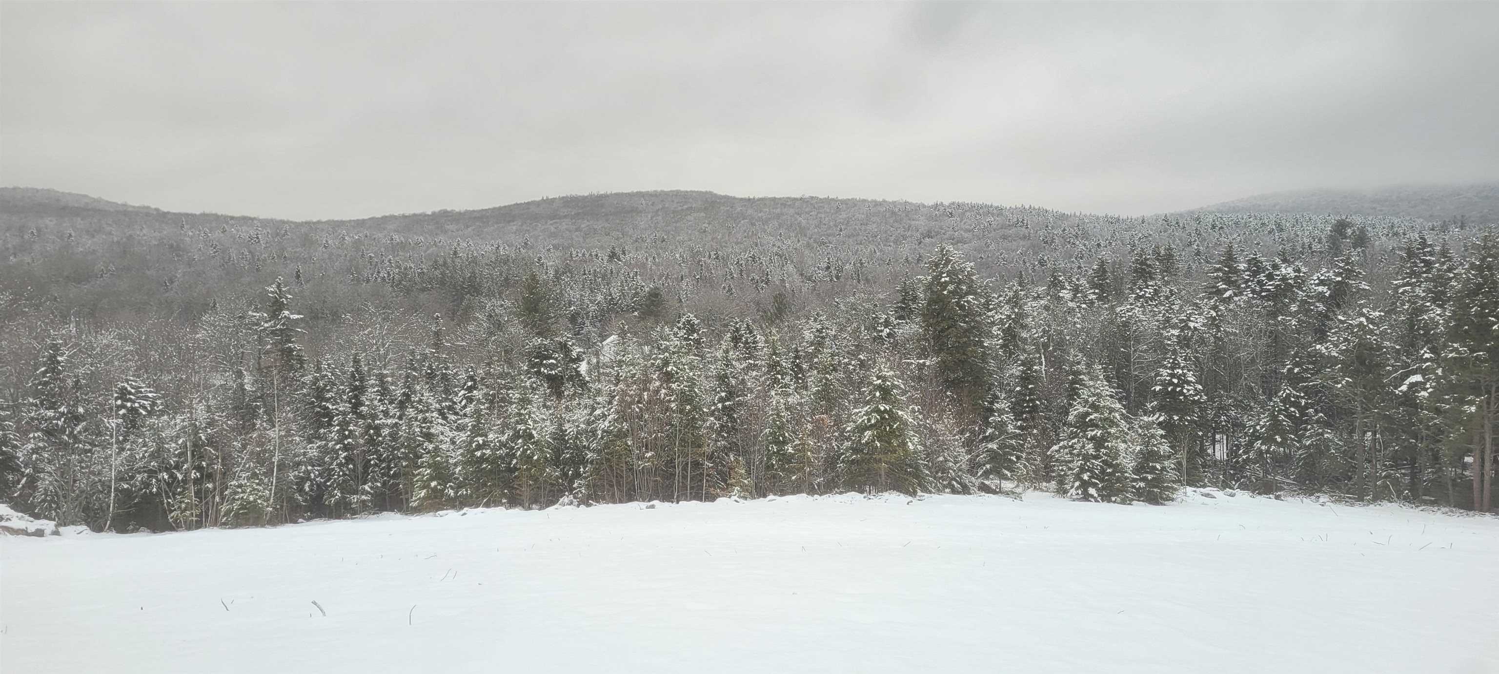 1304 Vermont Rte 100, Unit 5A Readsboro, VT 05350 - Photo 13 of 58 Gallery Image 13