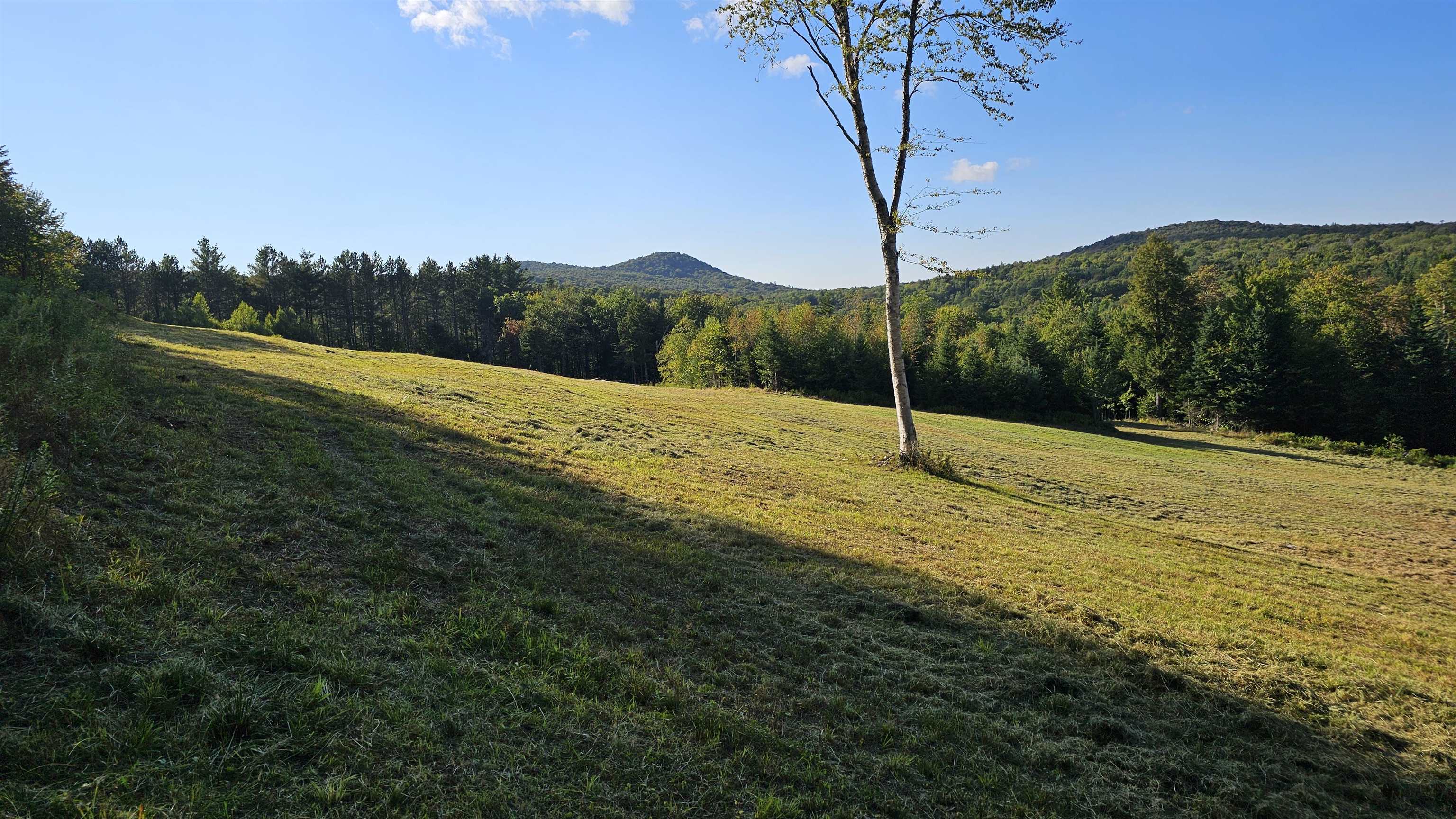 1304 Vermont Rte 100, Unit 5A Readsboro, VT 05350 - Photo 41 of 58 Gallery Image 41