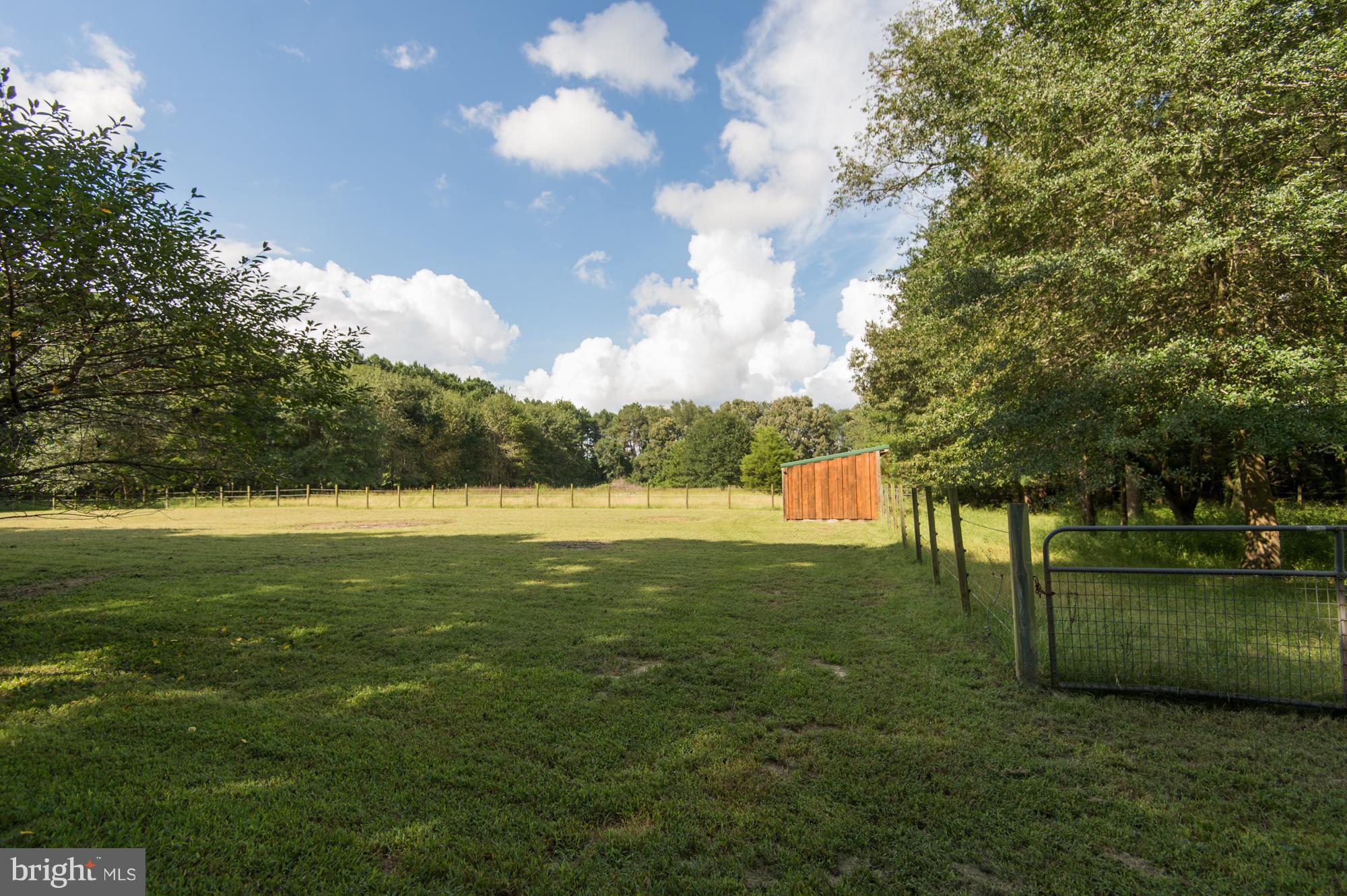 6343 Palmer Mill Road Hurlock, MD 21643 - Photo 29 of 29 Exterior (General)