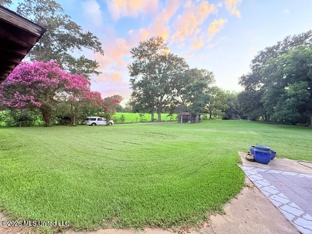 25 Wes Dillon Road Tylertown, MS 39667 - Photo 10 of 45 IMG_5215