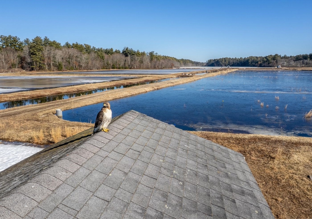 210 Bay Road Norton, MA 02766 - Photo 3 of 24 a view of an ocean and beach