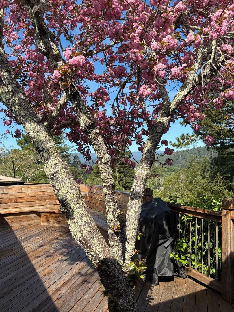 552 Bean Creek Road, Unit 30 Scotts Valley, CA 95066 - Photo 63 of 66