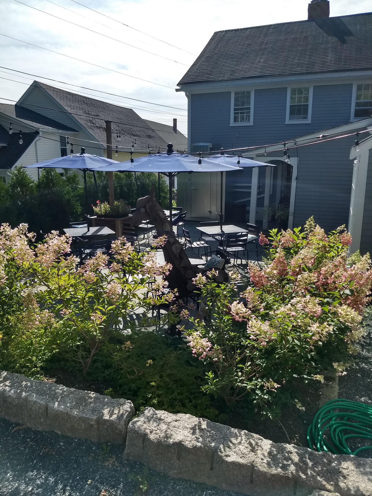 40 Main Street Blue Hill, ME 04614 - Photo 5 of 40 IMG_20190906_093917617_HDR