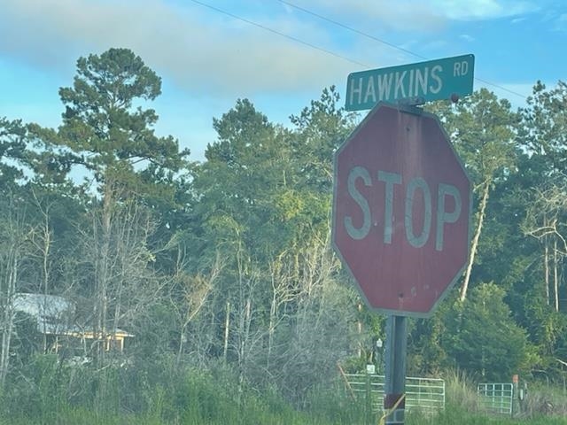 0 Hawkins Road Monticello, FL 32344 - Photo 11 of 12 Gallery Image 11