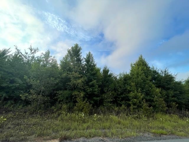 0 Hawkins Road Monticello, FL 32344 - Photo 5 of 12 Gallery Image 5