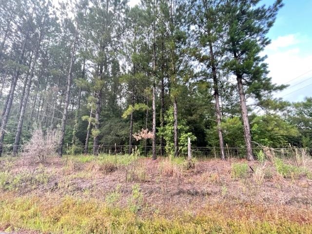 0 Hawkins Road Monticello, FL 32344 - Photo 6 of 12 Gallery Image 6