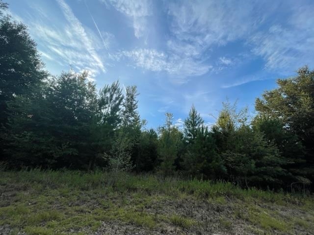 0 Hawkins Road Monticello, FL 32344 - Photo 7 of 12 Gallery Image 7