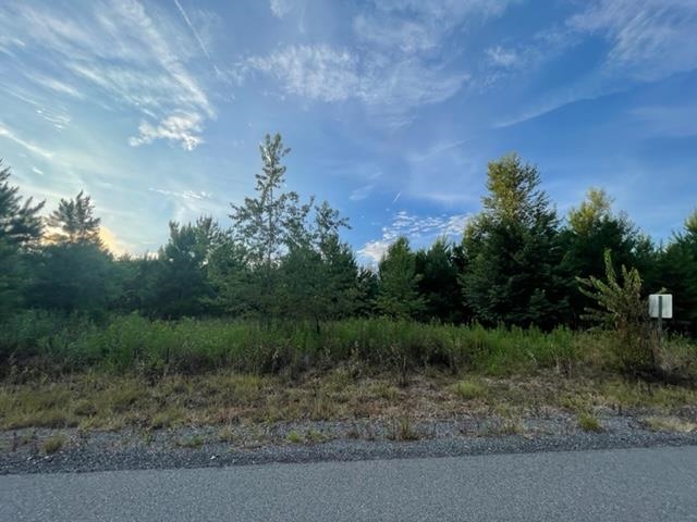 0 Hawkins Road Monticello, FL 32344 - Photo 8 of 12 Gallery Image 8