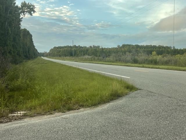 0 Hawkins Road Monticello, FL 32344 - Photo 9 of 12 Gallery Image 9