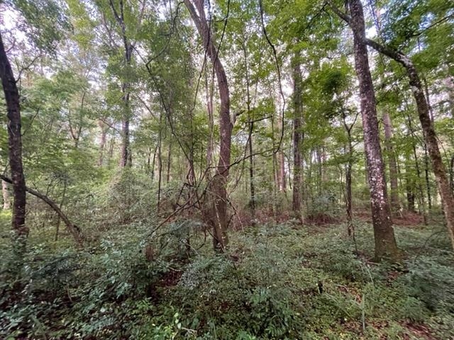 0 Hawkins Road Monticello, FL 32344 - Photo 10 of 12 Gallery Image 10