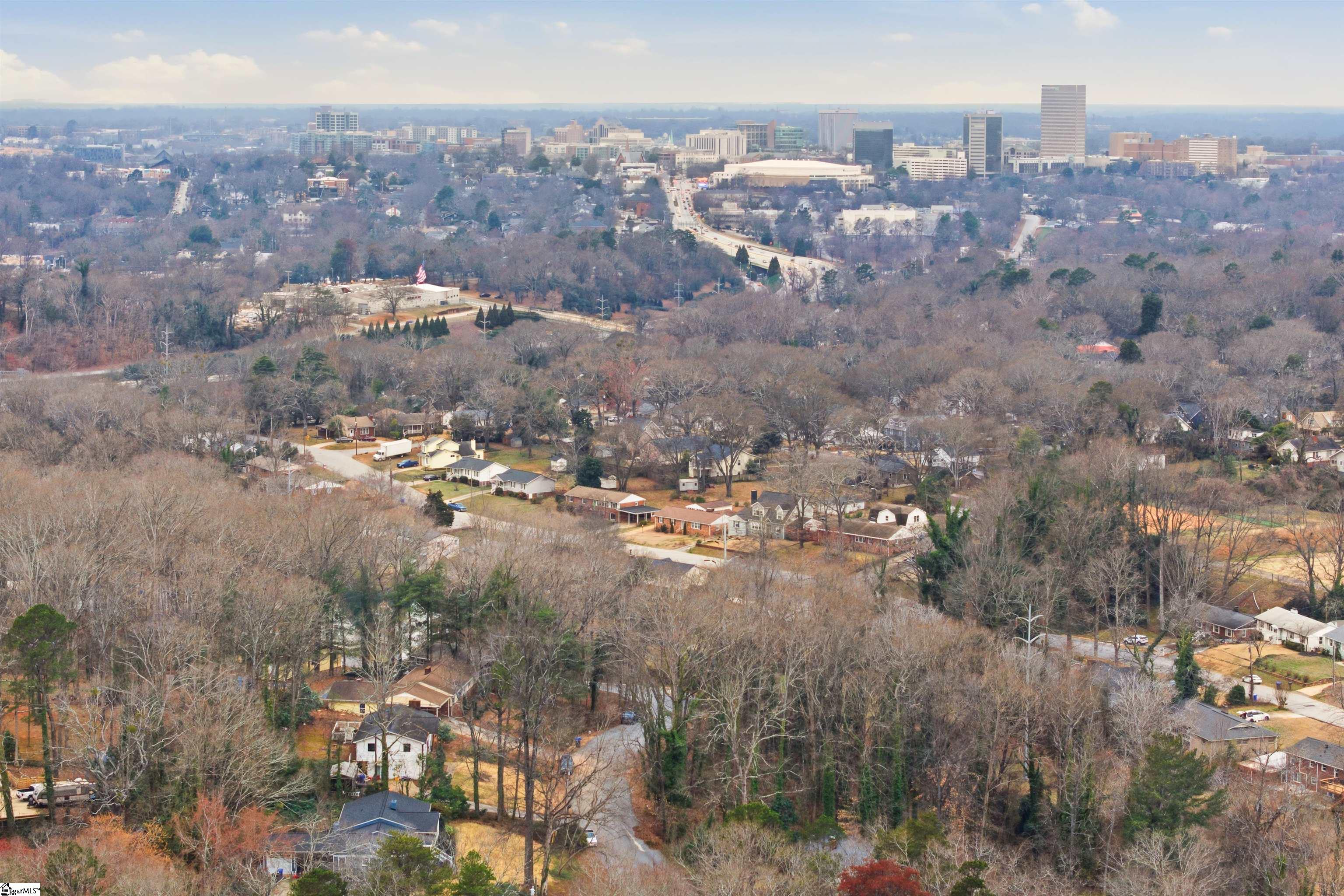 218 Arbutus Trail Greenville, SC 29607 - Photo 4 of 6