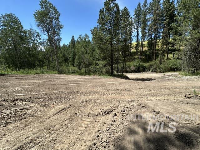 0 Parkins Road Troy, ID 83871 - Photo 14 of 33