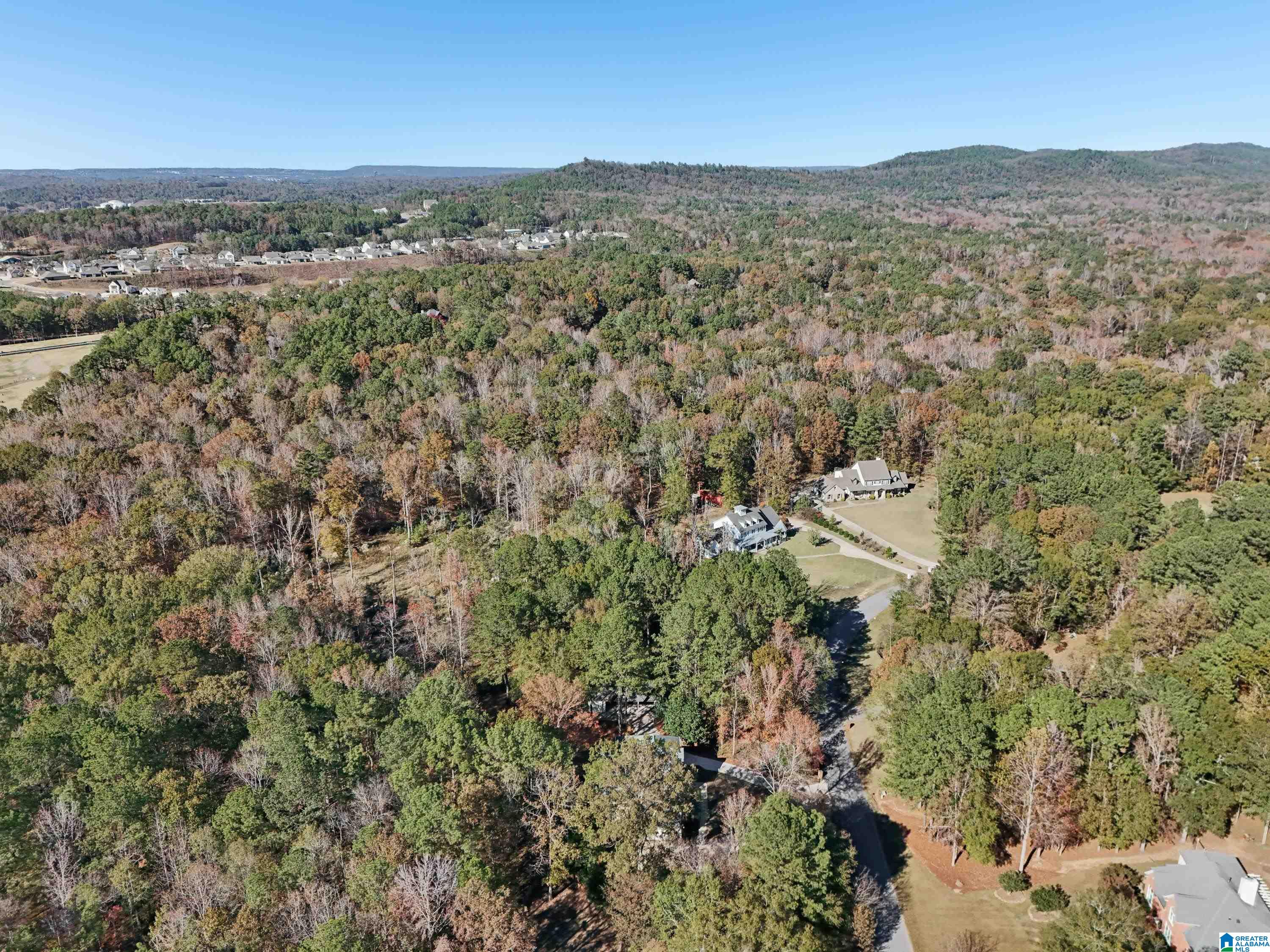 101 Windsor Circle Pelham, AL 35124 - Photo 48 of 60