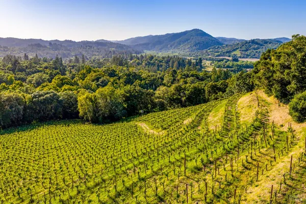 $1,398,000 | 9219 Carols View Lane, Forestville, CA 95436