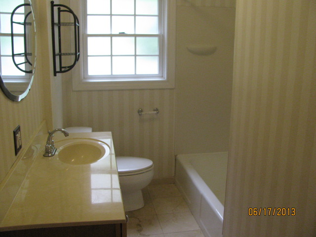 18324 Perth Avenue Homewood, IL 60430 - Photo 15 of 17 a bathroom with a sink and a bathtub