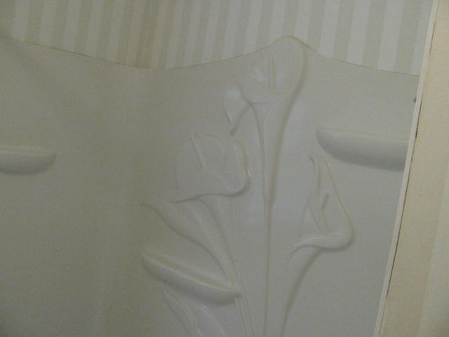 18324 Perth Avenue Homewood, IL 60430 - Photo 16 of 17 a close up view of a shower