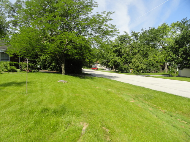 18324 Perth Avenue Homewood, IL 60430 - Photo 7 of 17 a view of outdoor space with deck and yard