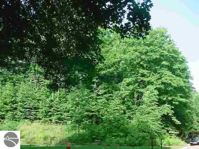7861 West 8 Road Mesick, MI 49668 - Photo 4 of 9 1637663-3.JPG