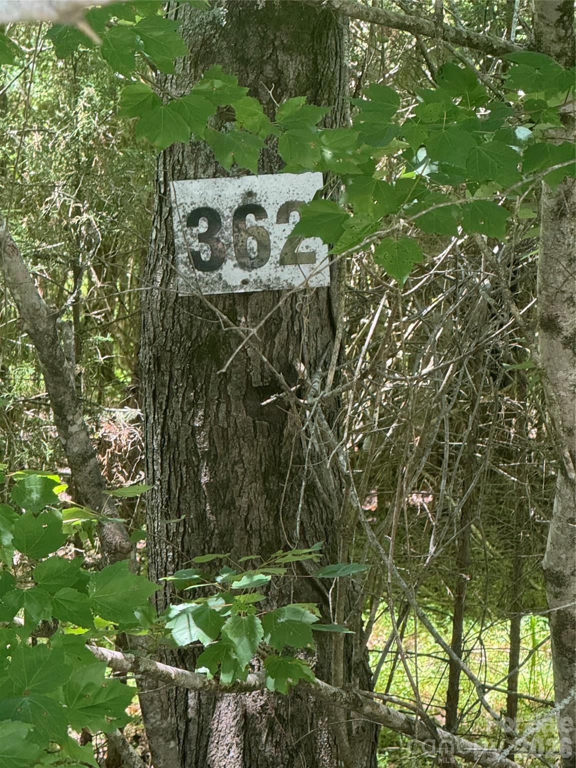 0 Desota Ridge, Unit 362 Rutherfordton, NC 28139 - Photo 10 of 10