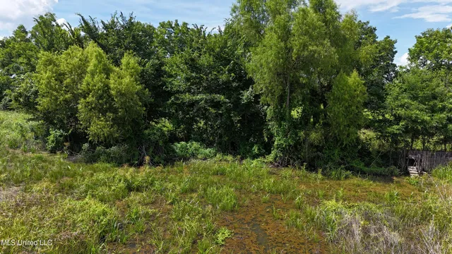 $595,000 | 132 Acres Mol Redwood Ms, Redwood, MS 39156