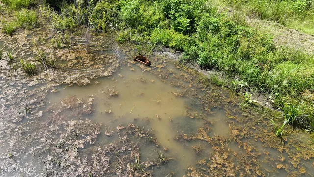 $595,000 | 132 Acres Mol Redwood Ms, Redwood, MS 39156