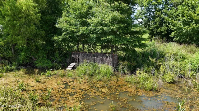 $595,000 | 132 Acres Mol Redwood Ms, Redwood, MS 39156