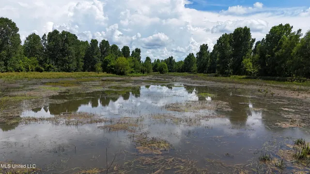 $595,000 | 132 Acres Mol Redwood Ms, Redwood, MS 39156