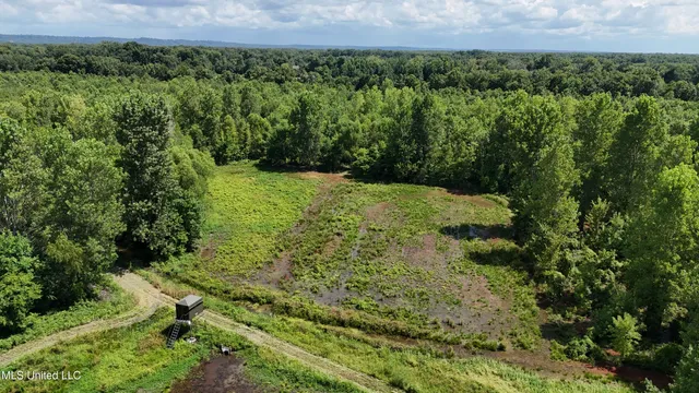 $595,000 | 132 Acres Mol Redwood Ms, Redwood, MS 39156