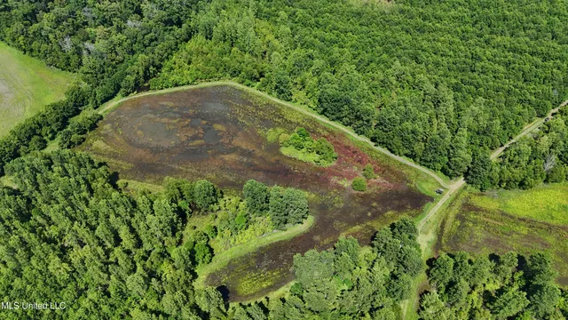 $595,000 | 132 Acres Mol Redwood Ms, Redwood, MS 39156