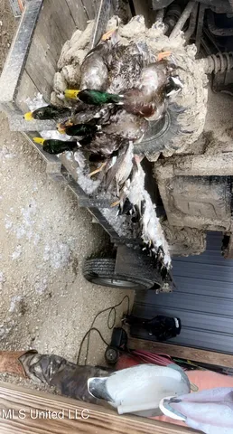 $595,000 | 132 Acres Mol Redwood Ms, Redwood, MS 39156