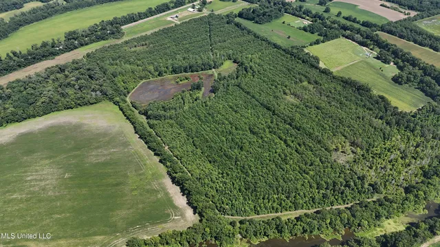 $595,000 | 132 Acres Mol Redwood Ms, Redwood, MS 39156