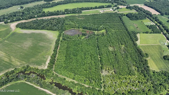 $595,000 | 132 Acres Mol Redwood Ms, Redwood, MS 39156