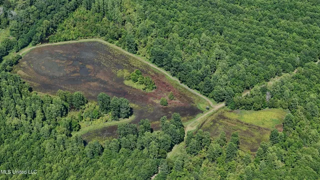 $595,000 | 132 Acres Mol Redwood Ms, Redwood, MS 39156