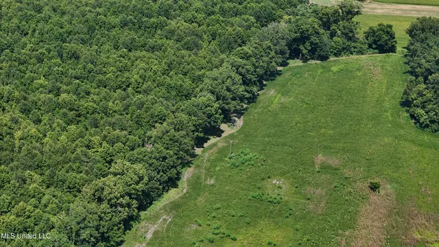 $595,000 | 132 Acres Mol Redwood Ms, Redwood, MS 39156
