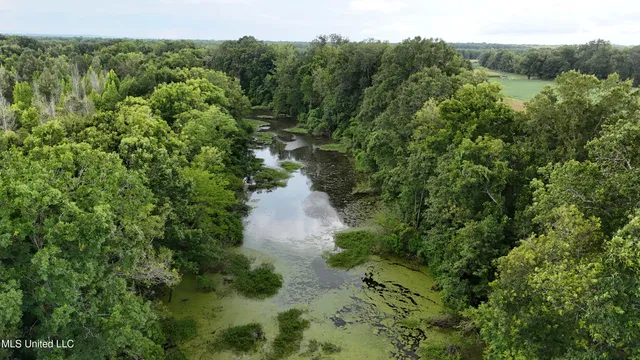 $595,000 | 132 Acres Mol Redwood Ms, Redwood, MS 39156