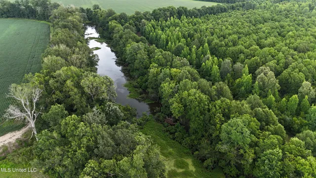 $595,000 | 132 Acres Mol Redwood Ms, Redwood, MS 39156