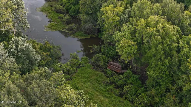 $595,000 | 132 Acres Mol Redwood Ms, Redwood, MS 39156