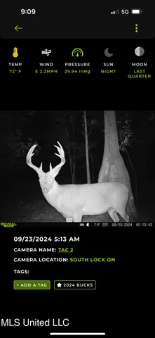 $595,000 | 132 Acres Mol Redwood Ms, Redwood, MS 39156