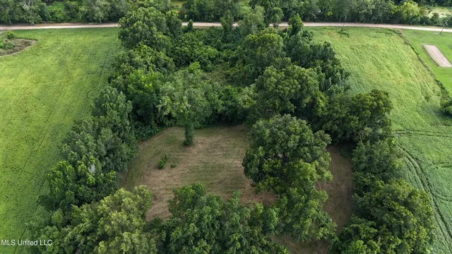 $595,000 | 132 Acres Mol Redwood Ms, Redwood, MS 39156