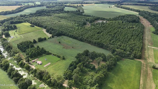 $595,000 | 132 Acres Mol Redwood Ms, Redwood, MS 39156