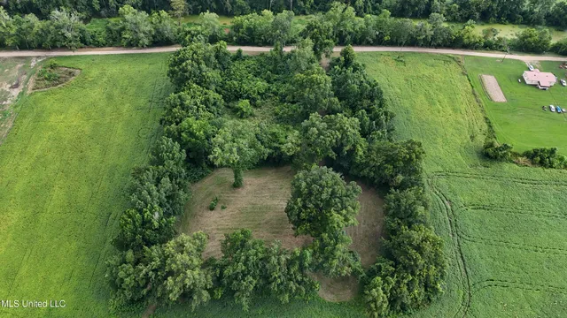 $595,000 | 132 Acres Mol Redwood Ms, Redwood, MS 39156