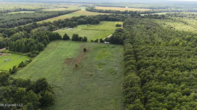 $595,000 | 132 Acres Mol Redwood Ms, Redwood, MS 39156