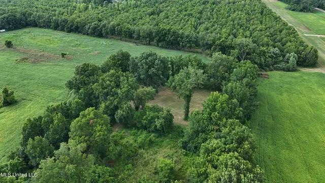 $595,000 | 132 Acres Mol Redwood Ms, Redwood, MS 39156