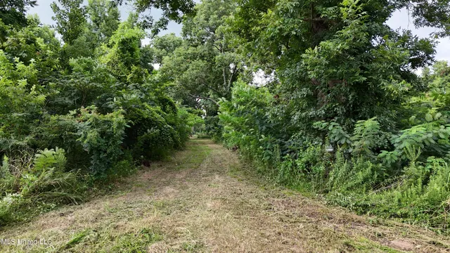 $595,000 | 132 Acres Mol Redwood Ms, Redwood, MS 39156